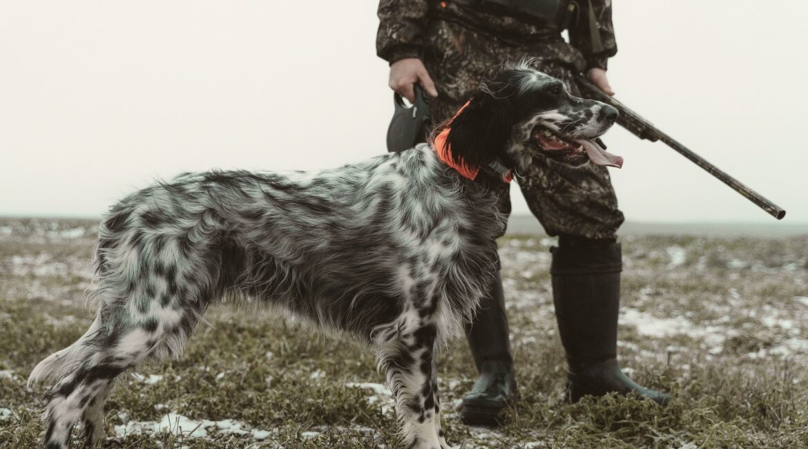 Rectangle 49 - Northern Whitetail Ranch image