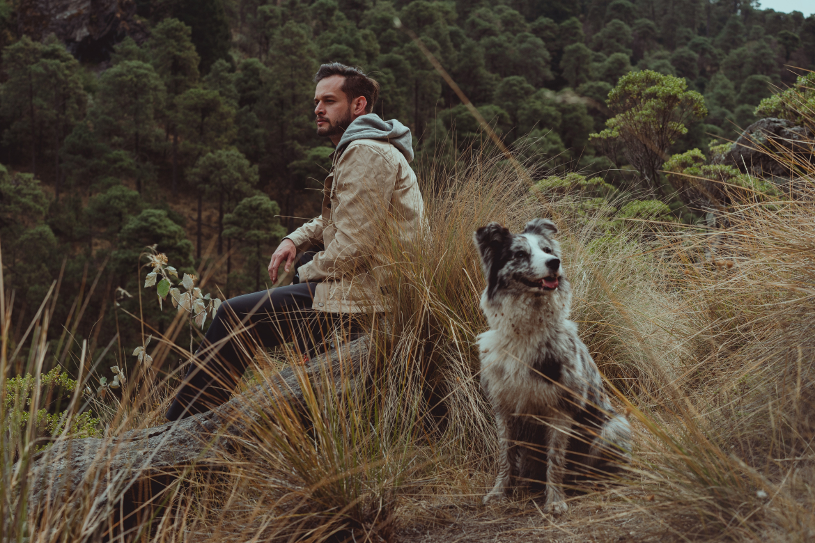 Choose a knife: some simple tips