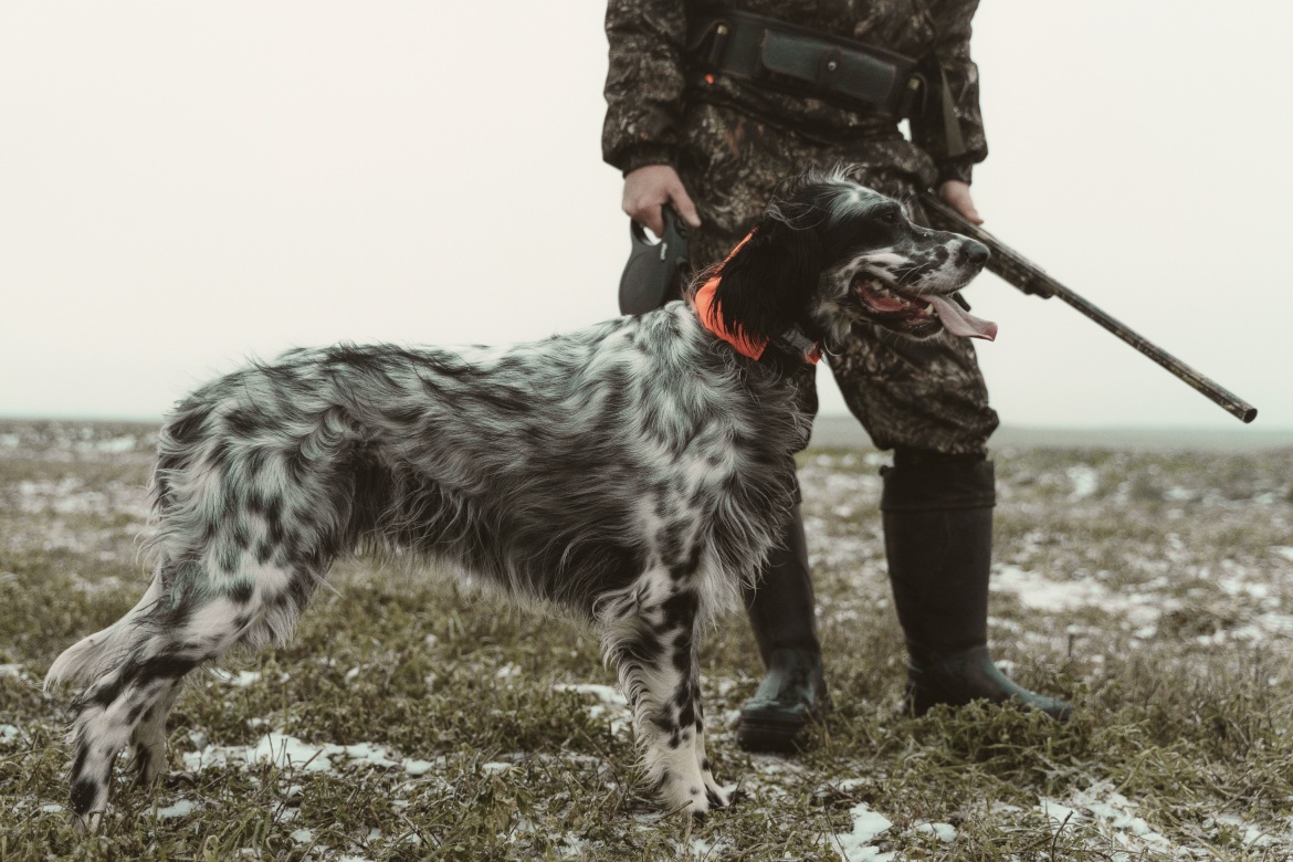 Rules for the storage of hunting weapon