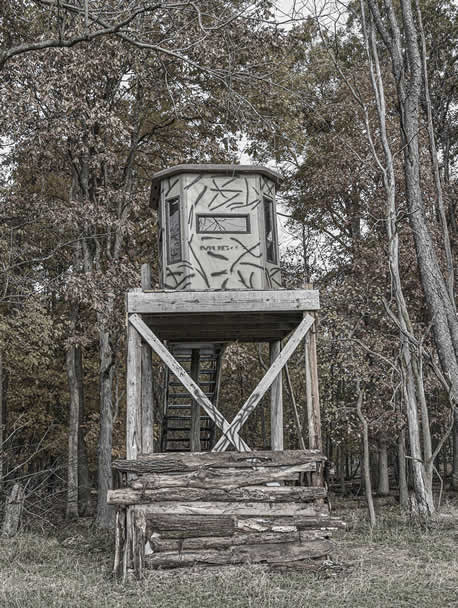 Hunting Blind Sika Deer Hunt