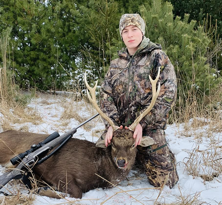 Sika Deer Hunt